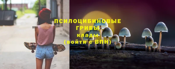 COCAINE Богородицк