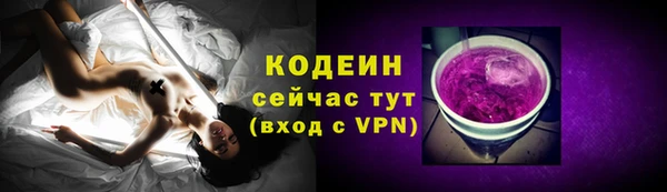 первитин Няндома