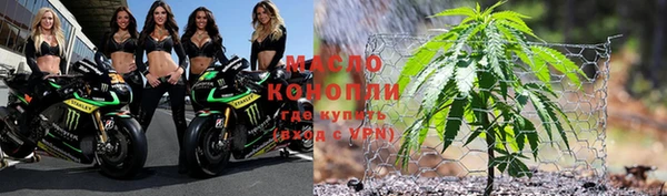 молекула духа Богородск